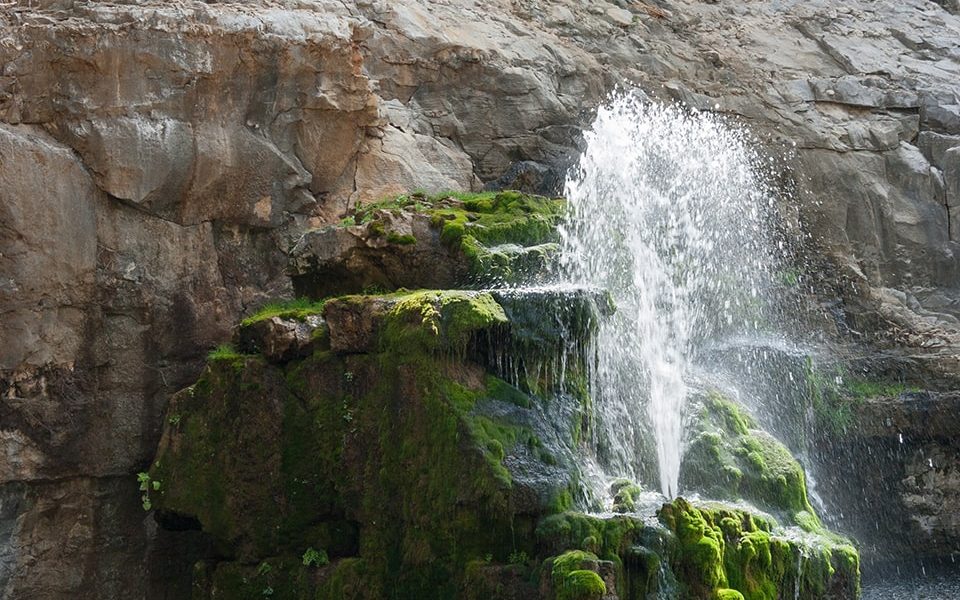 alabama mineral springs water