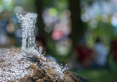 purified water alabama