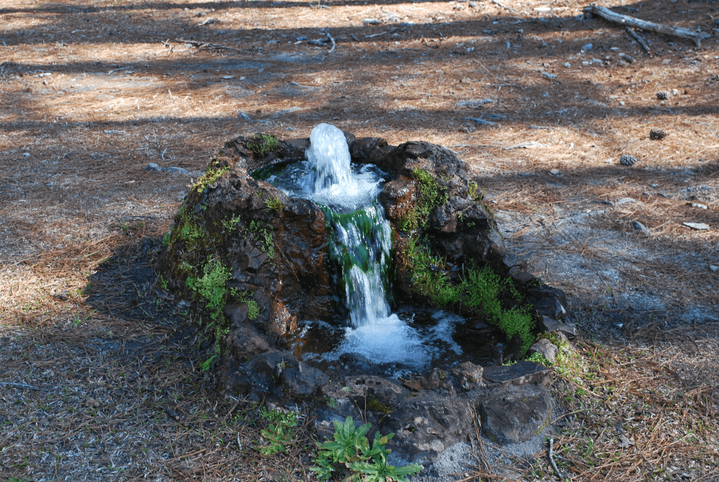 Clean and Pure Alabama Mineral Springs Bottled Water Hydration for Your Health!