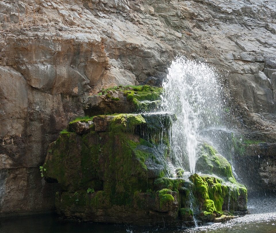 alabama mineral springs water